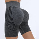 GrindFit